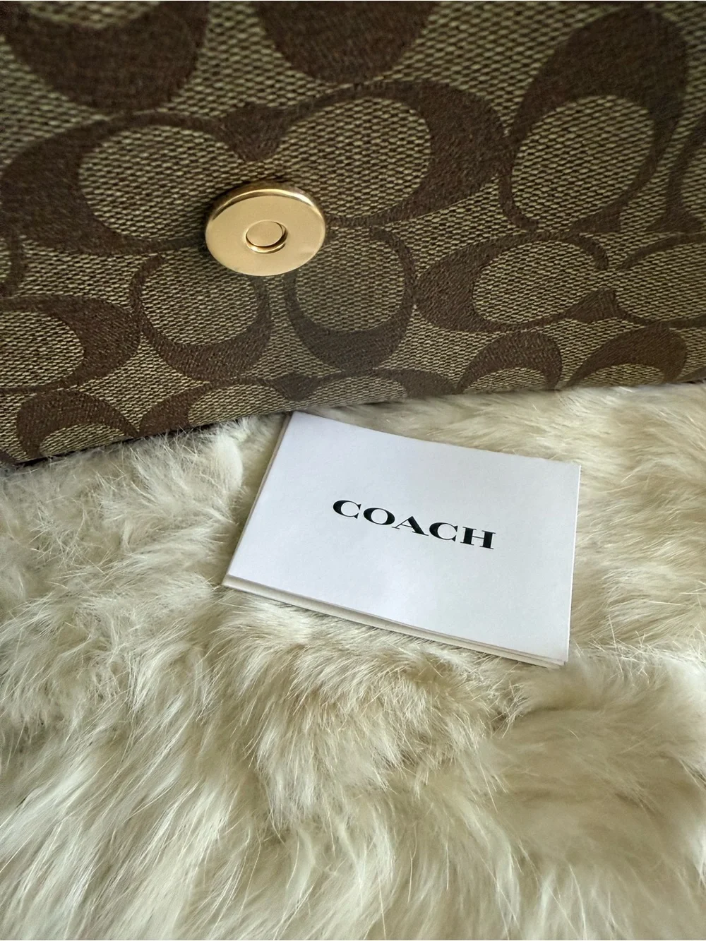 Coach klare signature